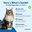 pet-wellbeing-blood-sugar-gold-for-cats--3.jpg