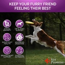 2-pack-dog-multivitamin-chewable-with-gl-4.jpg