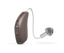hearing-aid-domes-smoky-gray-tips-ear-pi-3.jpg