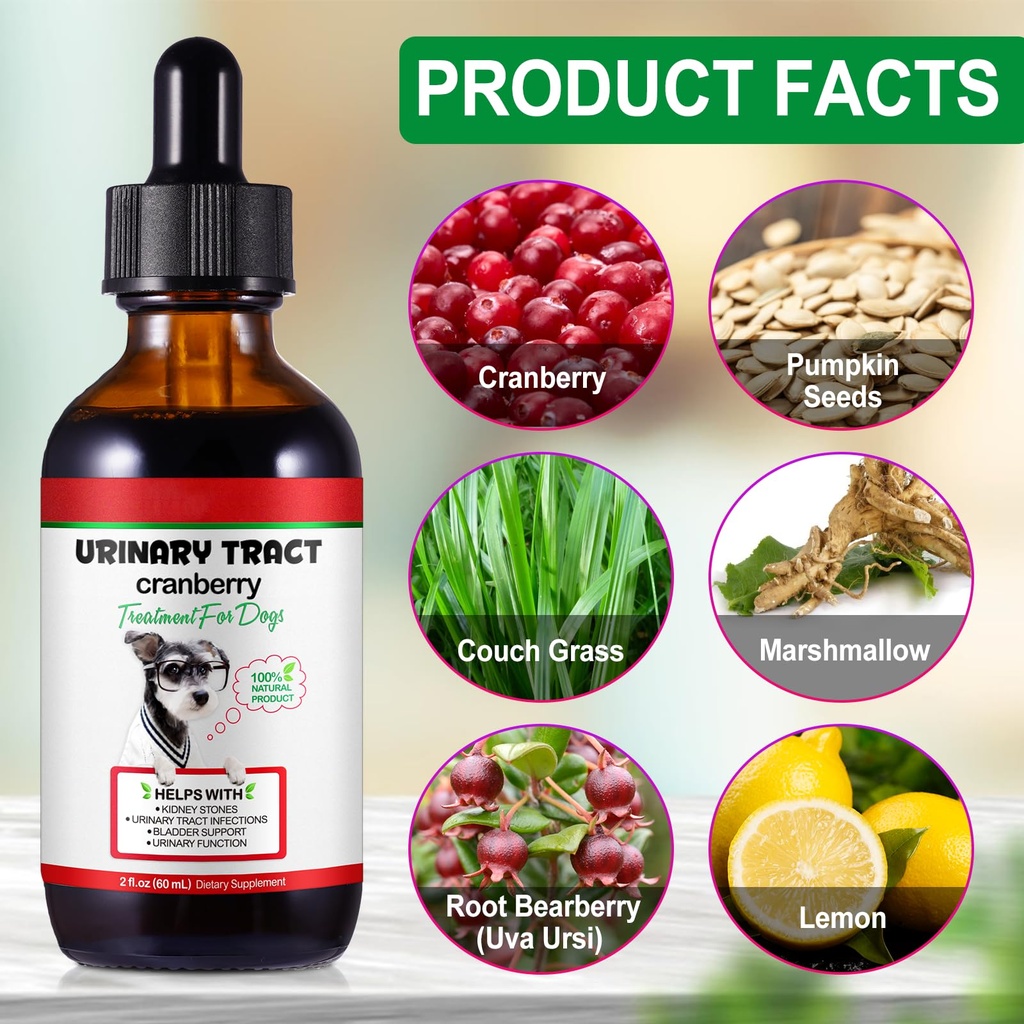 urinary-tract-for-dogs-dog-urinary-tract-4.jpg