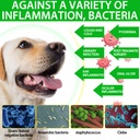 2-pack-antibiotics-for-dogs-natural-anti-3.jpg