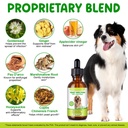yeast-infection-for-dogs-natural-yeast-i-2.jpg