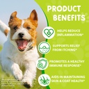 yeast-infection-for-dogs-natural-yeast-i-3.jpg