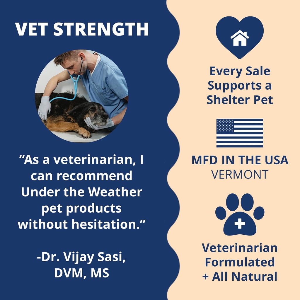 under-the-weather-pet-electrolytes-ready-5.jpg