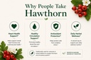 green-organic-supplements-hawthorn-berry-3.jpg