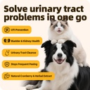 urinary-tract-supplement-for-urinary-tra-61gnZxNfDrL.jpg