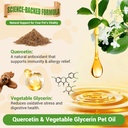 quercetin-for-dogs-dog-quercetin-liquid--71YaNqUlTeL.jpg