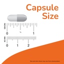 now-foods-silymarin-milk-thistle-150-mg--61rz14+hRuL.jpg