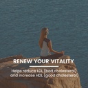 rooted-active-s-organic-chaga-capsules-i-61dOYyxh-7L.jpg