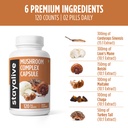 stay-alive-mushroom-complex-1000mg-6-in--71y2HfuEHLL.jpg
