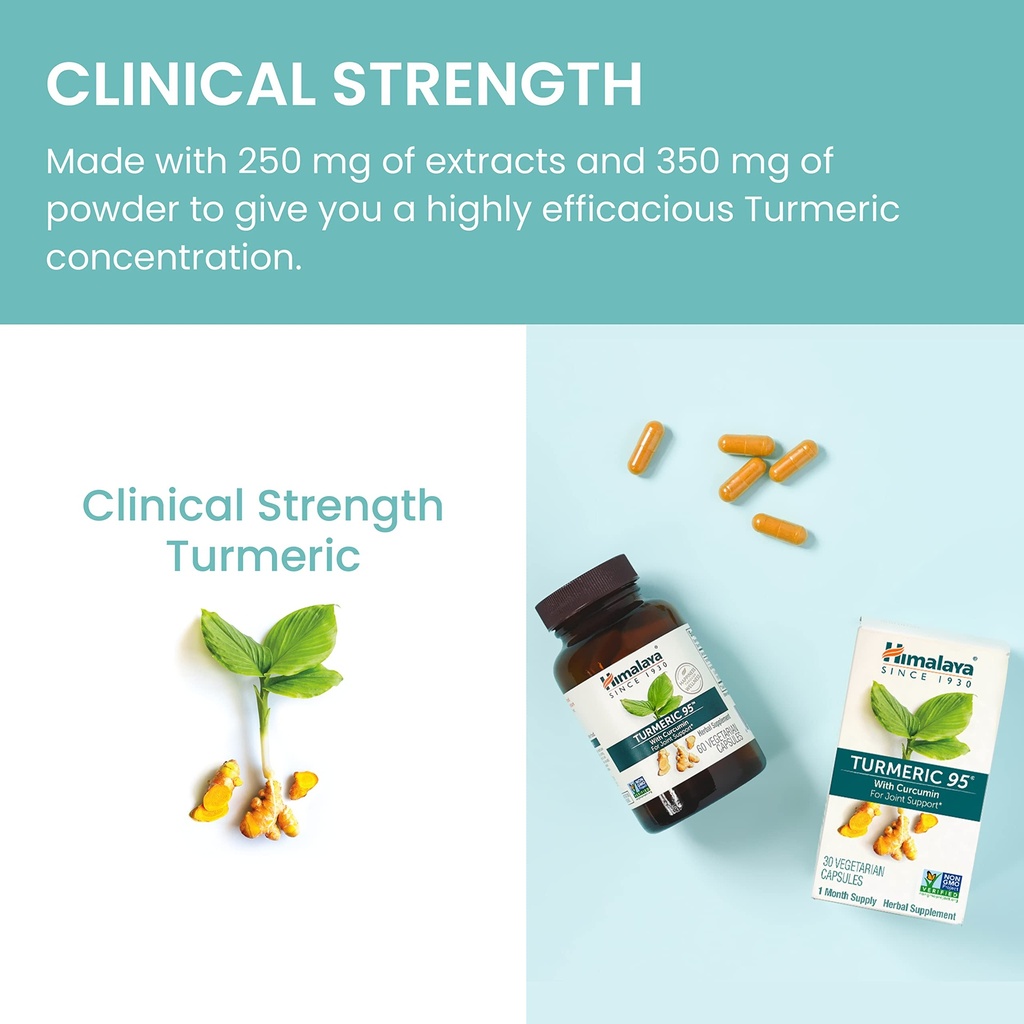 himalaya-organic-turmeric-curcumin-60-ca-71e3DJ+0GfL.jpg