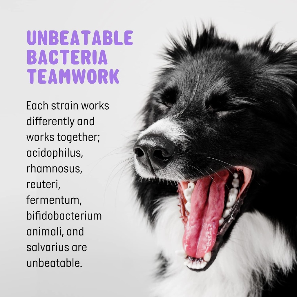 pet-probiotics-for-dogs-dog-probiotics-a-4.jpg