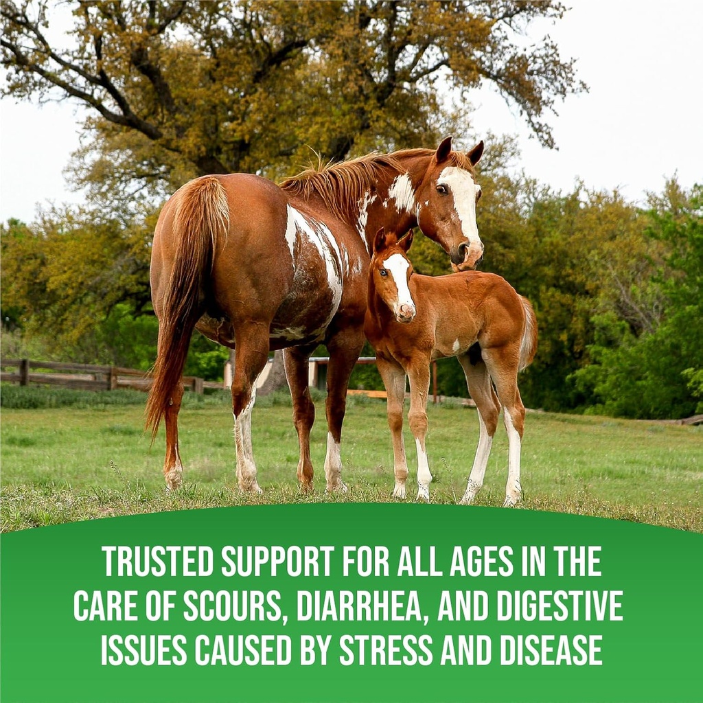 equine-total-rejuvenate-equine-oral-past-6.jpg
