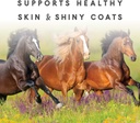 manna-pro-sho-glo-supplement-for-horses--4.jpg