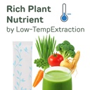 yamamoto-kanpoh-yamakan-greens-superfood-5.jpg