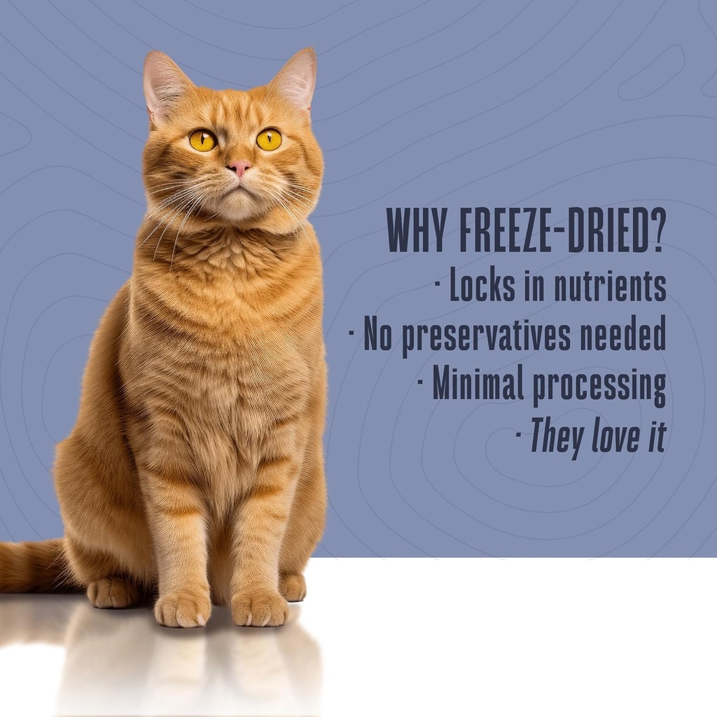 whole-life-pet-healthy-skin-and-coat-cat-5.jpg
