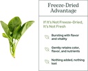 eclectic-herb-spinach-powder-90-grams-5.jpg