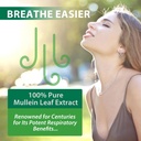 mullein-leaf-extract-mullein-leaf-extrac-4.jpg