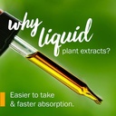herb-pharm-uva-ursi-liquid-extract-for-u-3.jpg
