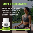 jungkwanjang-digestive-wellness-support--6.jpg