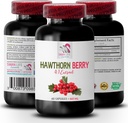antioxidant-berry-blend---hawthorn-berri-2.jpg