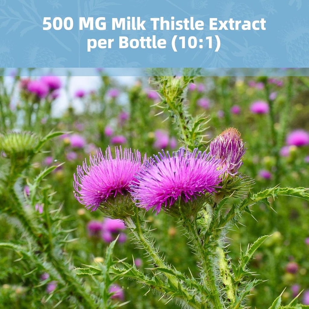 milk-thistle-supplement-capsules-liver-h-6.jpg