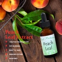 best-botanicals-peach-leaf-extract-1-oz-3.jpg