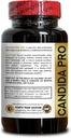 candida-pro-complex---balanced-gut-healt-3.jpg