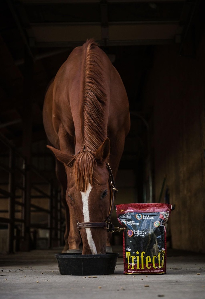 horse-guard-trifecta-10-lb-4-equine-vita-3.jpg