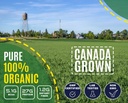 plant-based---100-pure-organic-hydrolyze-4.jpg