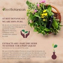 best-botanicals-red-raspberry-leaf-cut-4-5.jpg