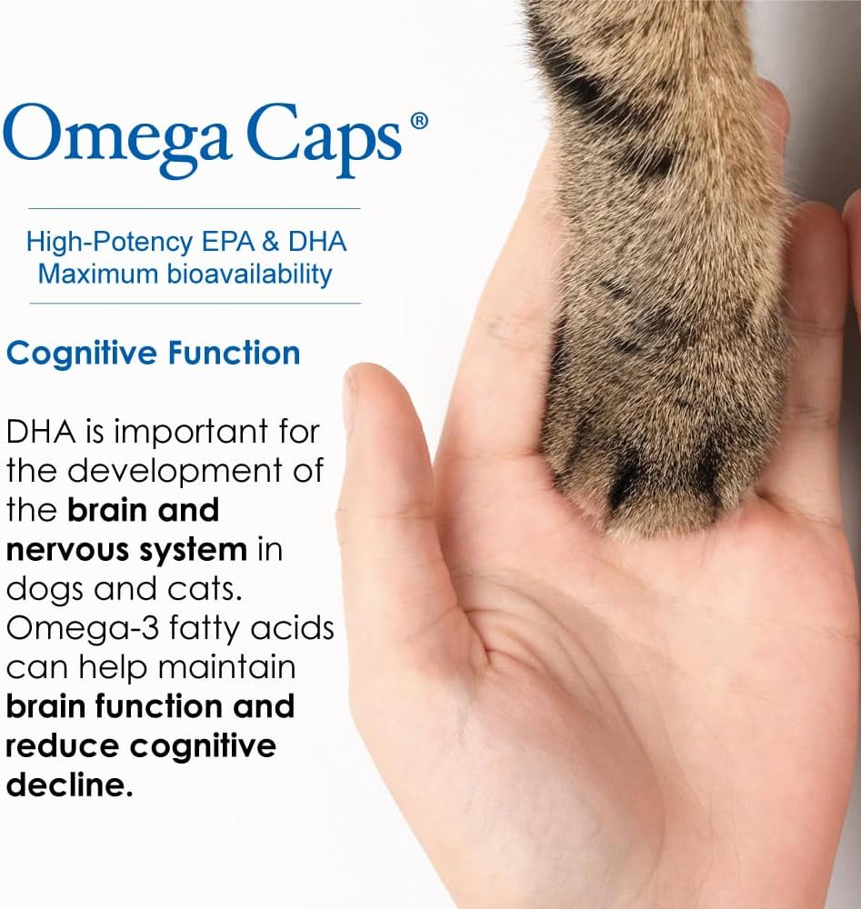liquid-for-dogs-and-cats-high-potency-om-6.jpg