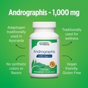doctors-preferred-andrographis-extract---4.jpg