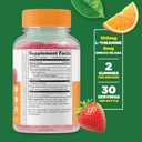 lifeable-l-theanine-with-ginkgo-biloba---2.jpg