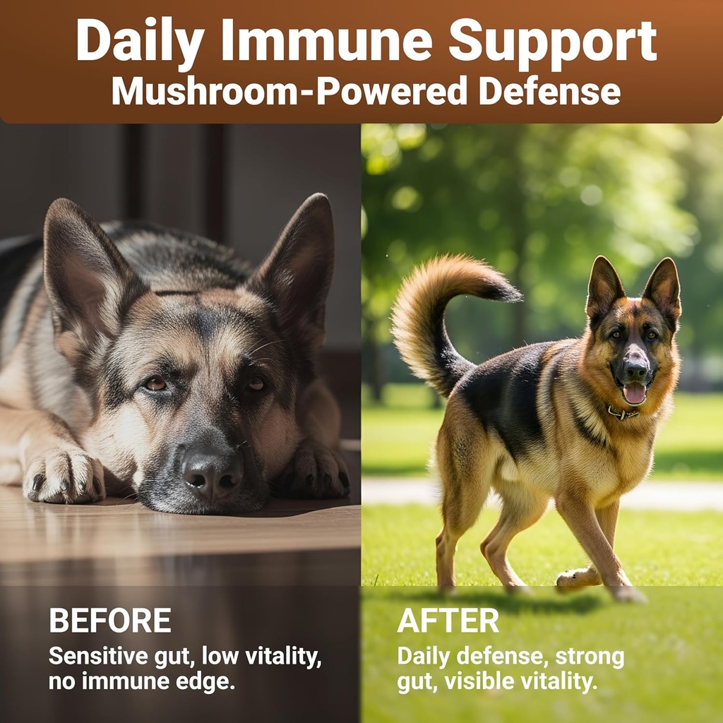 wuffwell-turkey-tail-mushrooms-for-dogs--4.jpg