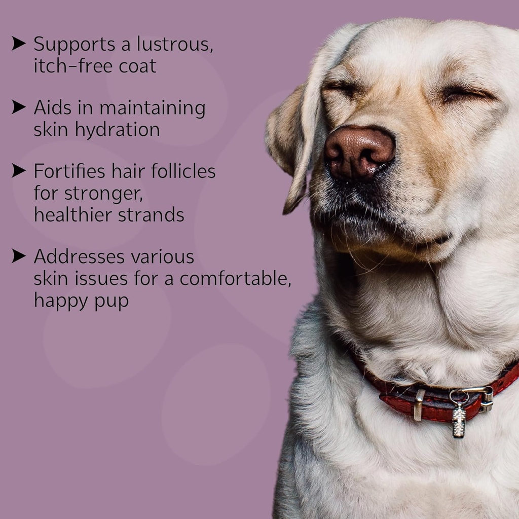 dog-skin-coat-supplement-chews---skin-he-4.jpg