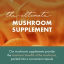 pure-essence-labs-mypure-cordyceps-4x-mu-3.jpg