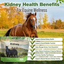 silver-lining-herbs-kidney-support-suppl-2.jpg