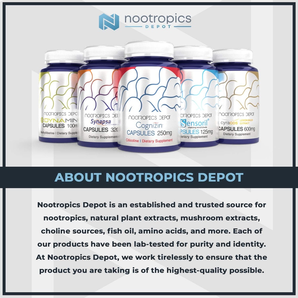 nootropics-depot-synapsa-bacopa-monnieri-3.jpg