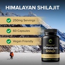 shilajit-capsules-high-strength-purified-4.jpg
