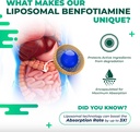 liposomal-nicotinamide-riboside-trans-re-6.jpg