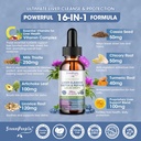 greenpeople-liver-cleanse-detox-repair-d-2.jpg