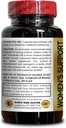 menopause-support-supplement---support-h-2.jpg