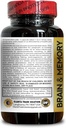 brain-memory-support---mind-performance--4.jpg