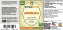 chinese-angelica-angelica-archangelica-t-2.jpg