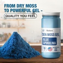 biolore-wildcrafted-sea-moss-gel---blue--3.jpg
