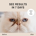 eye-envy-tear-stain-remover-powder-for-d-4.jpg