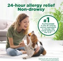 amazon-basic-care-24-hour-allergy-relief-4.jpg