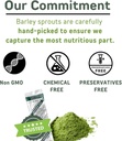 山本漢方製薬株式会社-yamakan-young-barley-grass-po-3.jpg