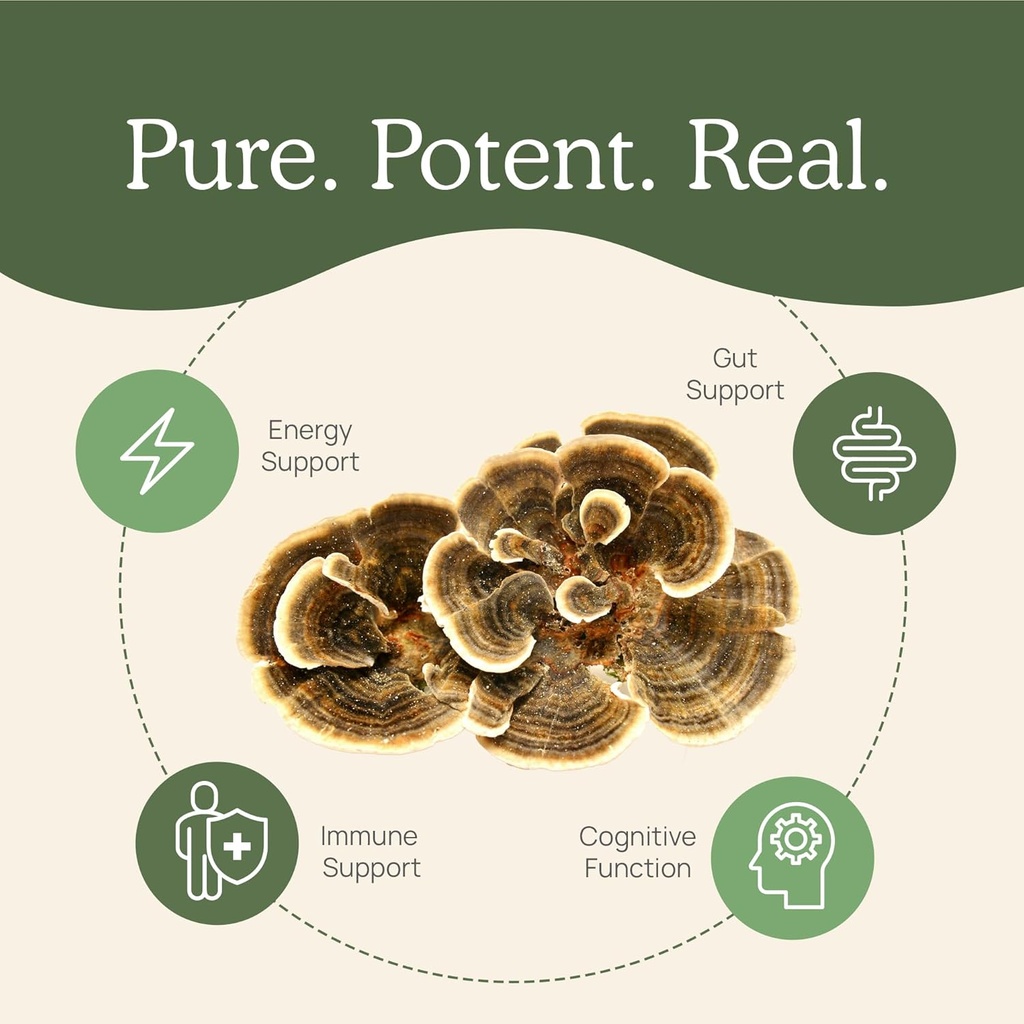 real-mushrooms-turkey-tail-for-humans-90-4.jpg